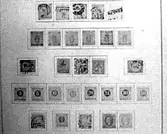 RIKSVAPNET OCH RINGTYP