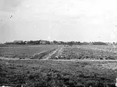 Longs by, Long


Tillv.tid: 1890-1895
Övriga nr: