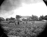 JÄRPÅS ?


Tillv.tid: 1880-1890
Övriga nr: 94/
Repro nr: 
Registrator: LH

RealNr: 594     Motiv_spec: FAMILJ
RealNr: 342     Motiv_spec: BONDGÅRD
RealNr: 241     Motiv_spec: BONDGÅRD

Proviens
Kod: 10
Yrke: FOTOGRAFNamn: VICTORIN CARL
Land: 
Län: 16
Kommun: 
Stad: JÄRPÅS
By: 
Gård: 
Fastighet: 
Adress: 


Proviens
Kod: 21
Yrke: Namn: 
Land: 
Län: 16
Kommun: 
Stad: JÄRPÅS
By: 
Gård: 
Fastighet: 
Adress: