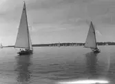 Tävling i segling, Västerås.