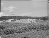 EXT. OCH INT. ÖNSKÖLDSVIK