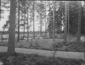 KYRKOGÅRDSANLÄGGNING I UMEÅ (SPEKULATION)