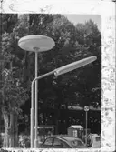 ARMATUR I KUNGSTRÄDGÅRDEN