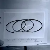 Halsringar från Åketorp.