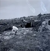 Margareta Beskow vid utgrävning vid Skedemosse.