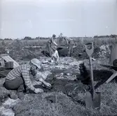 Fynd från utgrävning vid Skedemosse.