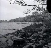 Vy från Kapelludden. Kapelludden har en forn och kulturminnesplats. Där ett tre meter högt klöverkors finns i närheten av en kapellruin som heter Sankta Birgittas kapell, kallas också Långöre kapell. En fyr finns också på platsen. På bilden syns inte dessa utan den visar en vik vid området.