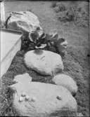 VILLA NÄSVALL, NÄSBY PARK