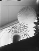 BLOMFÖNSTER SAMT PRYDNADSFÖREMÅL ARR. AV FRU HALD