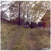 Västerås, Brandthovda, Tortunavägen. 
Grytahögen RAÄ 454 från nordväst, 1965.