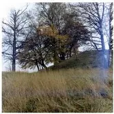 Västerås, Brandthovda, Tortunavägen. 
Grytahögen RAÄ 454 från norr, 1965.