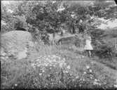 DISP. WINNBERGS SOMMARSTÄLLE PÅ LJUSTERÖ