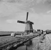 Väderkvarn, Nederländerna. 
Väderkvarn söder om Zuiderzee, (nuvarande IJsselmeer). Tyskland-Holland-Belgien 1938. IJsselmeer är en insjö i Nederländerna som uppstod genom uppförandet av en dammbyggnad i Zuiderzee, en vik av Nordsjön.