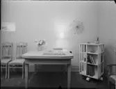 GAMLA MÖBLER SAMT BILDER PÅ KAKTUS I HAGA VÄXTHUS