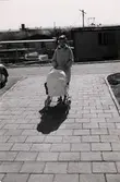 Bågskyttegatan vid Jungfruplatsen år 1960. Ninnie Tobiasson (född Johansson 1937) promenerar med nyfödda dottern Ilse (född 1960, gift Glimberg) liggandes i barnvagnen. I bakgrunden ses Bågskyttegatans jämna nummer som då var under uppbyggnad. Familjen bodde på Bågskyttegatan 3G (ojämnt nummer) vilket var redan inflyttat och klart.