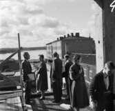 En liten folksamling har samlats på en utsiktsplats på baksidan av det pågående bygget av Domus varuhuset, i bakgrunden ser man Munksjön år 1959.
