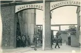 Vänersborgs tändstickfabrik