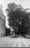 Allégatan från Åsbogatan mot söder.