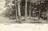 Varmbadhuset vid Ryds sanatorium (Ryds brunn), 1902.
En man och en flicka står i förgrunden.