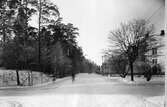 Neumansgatan, numera Nyckelbergsgatan, vid Annelundsparken.