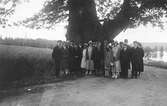 Bild från en bilresa som Hedaredslogen företog år 1926. Här vid eken i Trogared.
