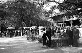 Kafé på Flickskolans gård vid Boråsutställningen år 1933.