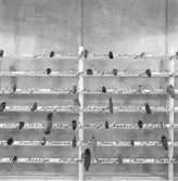 Utställning Tiotusen år. En vägg med yxor i den kulturhistoriska basutställningen Tiotusen år