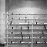 Utställning Tiotusen år. En vägg med yxor i den kulturhistoriska basutställningen Tiotusen år