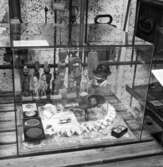 Utställning Tiotusen år. Glasmonter i utställningsdelen 