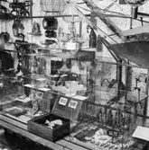 Utställning Tiotusen år. Utställningsdelen 