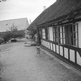 Troligen Munkebo. Danmark 1935.