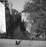 Utsikt över Kampa-ön sett från Karlsbron. Tjeckoslovakien-Ungern-Österrike 1935.