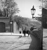 I Prag. Tjeckoslovakien-Ungern-Österrike 1935.