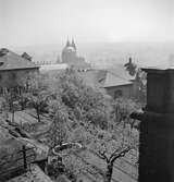 Vy över Prag. I bildens mitt syns St. Nikolauskyrkans torn. Tjeckoslovakien-Ungern-Österrike 1935.