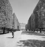 Slottet Schönbrunn i Wien. Tjeckoslovakien-Ungern-Österrike 1935.
