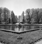 Slottsparken i Schönbrunn. Tjeckoslovakien-Ungern-Österrike 1935.