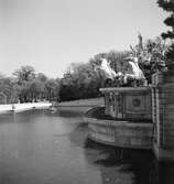Neptunus-fontänen vid Schönbrunn. Wien. Tjeckoslovakien-Ungern-Österrike 1935.