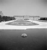Slottet Schönbrunn i Wien med slottsträdgården i förgrunden. Tjeckoslovakien-Ungern-Österrike 1935.