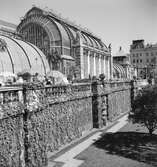 Palmhuset vid slottet Schönbrunn, Wien. Tjeckoslovakien-Ungern-Österrike 1935.