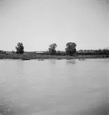 På Donau. På väg till Bratislava? Tjeckoslovakien-Ungern-Österrike 1935.