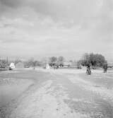 Ankskötsel i Ráró. Tjeckoslovakien-Ungern-Österrike 1935.