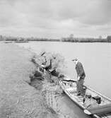 Urstigning från båten. I Ráró? Tjeckoslovakien-Ungern-Österrike 1935.