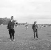 Herdar i Ráró. Tjeckoslovakien-Ungern-Österrike 1935.