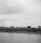 Kor i Ráró, sett från vattnet. Tjeckoslovakien-Ungern-Österrike 1935.