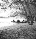 Donaus delta. Tjeckoslovakien-Ungern-Österrike 1935.