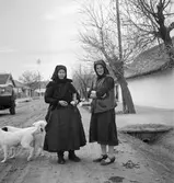 Alsónémedi. Tjeckoslovakien-Ungern-Österrike 1935.