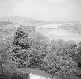 Vy över Budapest med broarna över Donau. Tjeckoslovakien-Ungern-Österrike 1935.