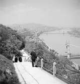 Donau med den gamla Elisabeth-bron. Tjeckoslovakien-Ungern-Österrike 1935.