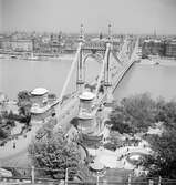 Gamla Elisabeth-bron i Budapest. Tjeckoslovakien-Ungern-Österrike 1935.