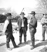 Bönder i Alsódabas. Orten heter idag Dabas. Tjeckoslovakien-Ungern-Österrike 1935.